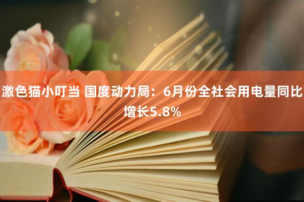 激色猫小叮当 国度动力局：6月份全社会用电量同比增长5.8%