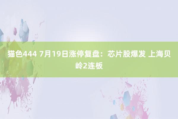 猫色444 7月19日涨停复盘：芯片股爆发 上海贝岭2连板