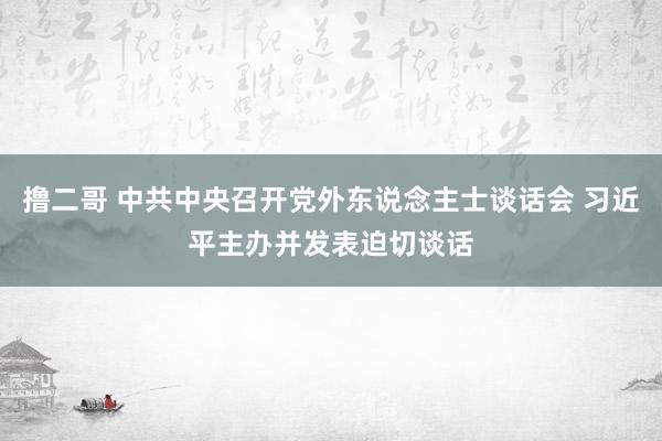 撸二哥 中共中央召开党外东说念主士谈话会 习近平主办并发表迫切谈话