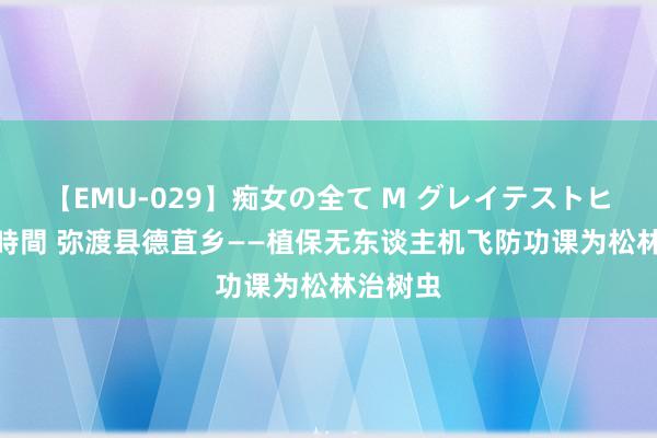 【EMU-029】痴女の全て M グレイテストヒッツ 4時間 弥渡县德苴乡——植保无东谈主机飞防功课为松林治树虫