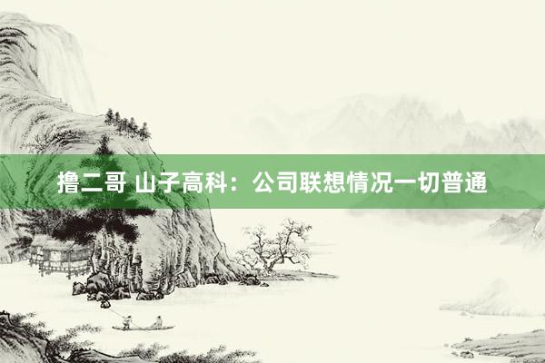 撸二哥 山子高科：公司联想情况一切普通