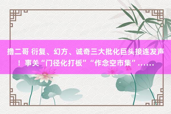 撸二哥 衍复、幻方、诚奇三大批化巨头接连发声！事关“门径化打板”“作念空市集”……