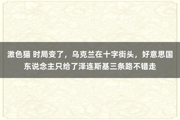 激色猫 时局变了，乌克兰在十字街头，好意思国东说念主只给了泽连斯基三条路不错走