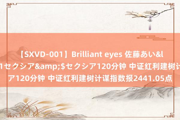 【SXVD-001】Brilliant eyes 佐藤あい</a>2006-11-01セクシア&$セクシア120分钟 中证红利建树计谋指数报2441.05点