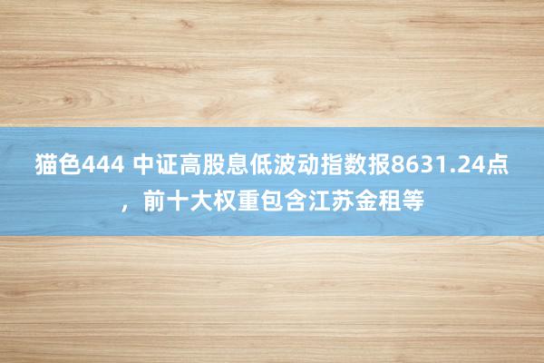 猫色444 中证高股息低波动指数报8631.24点，前十大权重包含江苏金租等