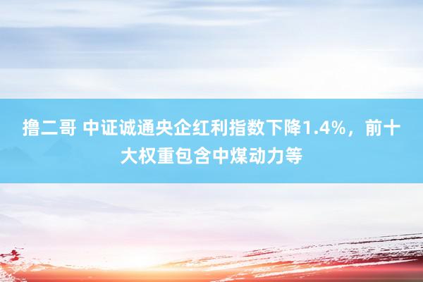 撸二哥 中证诚通央企红利指数下降1.4%，前十大权重包含中煤动力等