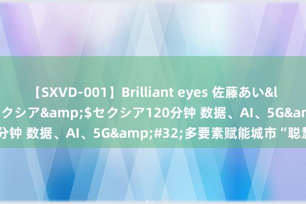 【SXVD-001】Brilliant eyes 佐藤あい</a>2006-11-01セクシア&$セクシア120分钟 数据、AI、5G&#32;多要素赋能城市“聪慧将来”