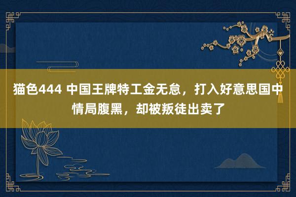 猫色444 中国王牌特工金无怠，打入好意思国中情局腹黑，却被叛徒出卖了