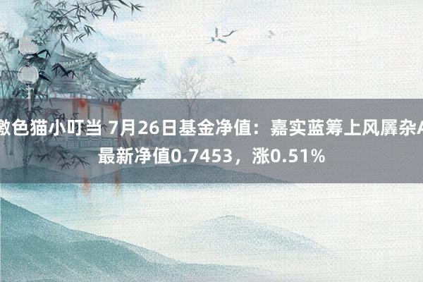 激色猫小叮当 7月26日基金净值：嘉实蓝筹上风羼杂A最新净值0.7453，涨0.51%