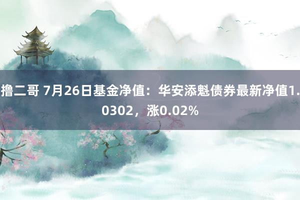 撸二哥 7月26日基金净值：华安添魁债券最新净值1.0302，涨0.02%