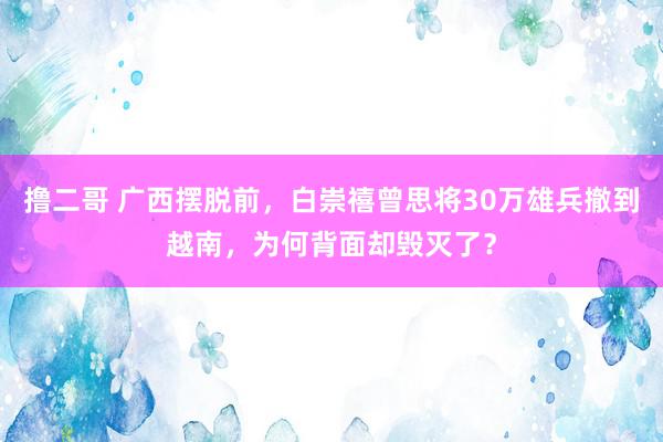 撸二哥 广西摆脱前，白崇禧曾思将30万雄兵撤到越南，为何背面却毁灭了？