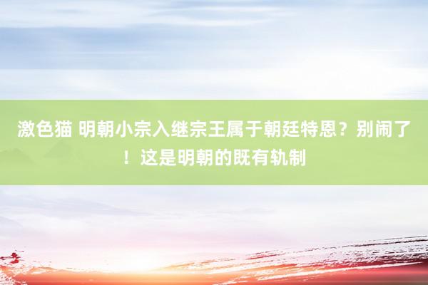 激色猫 明朝小宗入继宗王属于朝廷特恩？别闹了！这是明朝的既有轨制