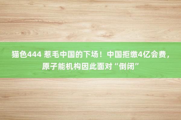 猫色444 惹毛中国的下场！中国拒缴4亿会费，原子能机构因此面对“倒闭”