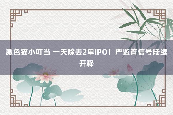 激色猫小叮当 一天除去2单IPO！严监管信号陆续开释