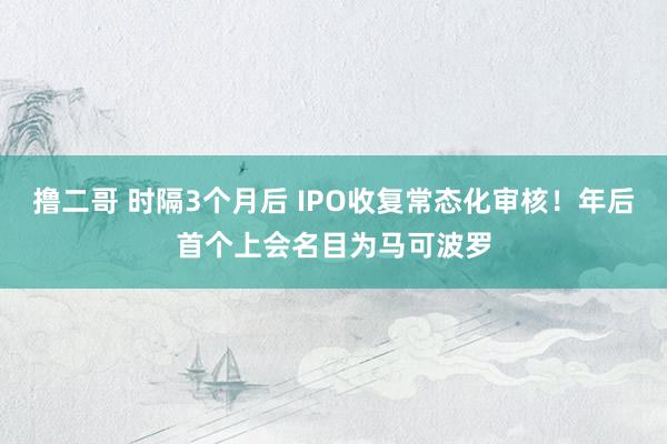 撸二哥 时隔3个月后 IPO收复常态化审核！年后首个上会名目为马可波罗