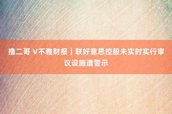 撸二哥 V不雅财报｜联好意思控股未实时实行审议设施遭警示