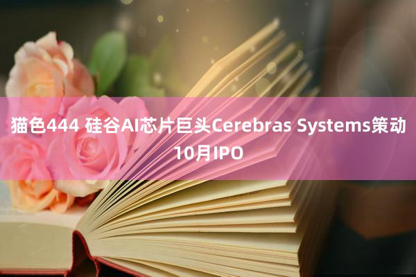 猫色444 硅谷AI芯片巨头Cerebras Systems策动10月IPO