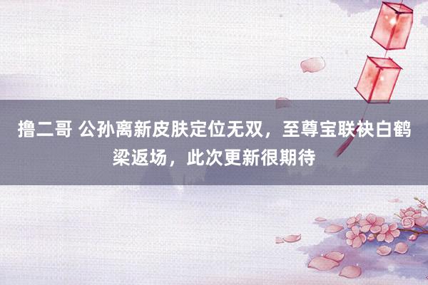 撸二哥 公孙离新皮肤定位无双，至尊宝联袂白鹤梁返场，此次更新很期待