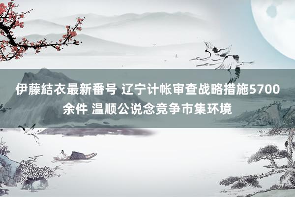 伊藤結衣最新番号 辽宁计帐审查战略措施5700余件 温顺公说念竞争市集环境