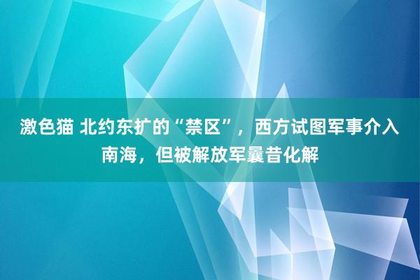 激色猫 北约东扩的“禁区”，西方试图军事介入南海，但被解放军曩昔化解