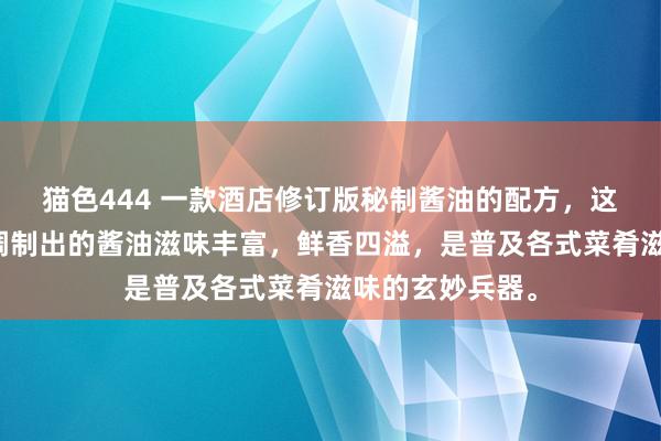 猫色444 一款酒店修订版秘制酱油的配方，这个配方能让你调制出的酱油滋味丰富，鲜香四溢，是普及各式菜肴滋味的玄妙兵器。