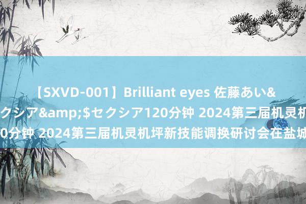 【SXVD-001】Brilliant eyes 佐藤あい</a>2006-11-01セクシア&$セクシア120分钟 2024第三届机灵机坪新技能调换研讨会在盐城建湖举办