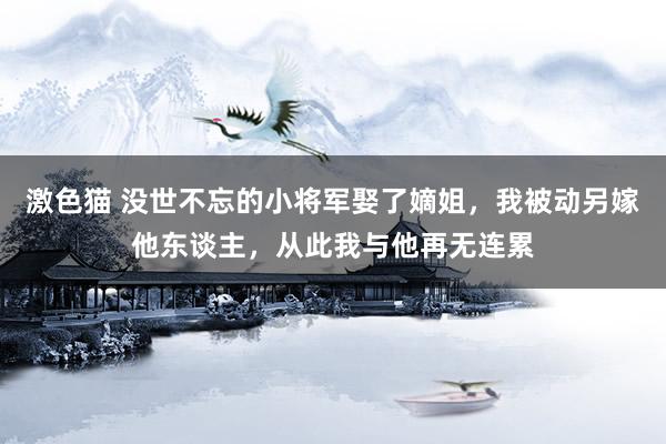 激色猫 没世不忘的小将军娶了嫡姐，我被动另嫁他东谈主，从此我与他再无连累