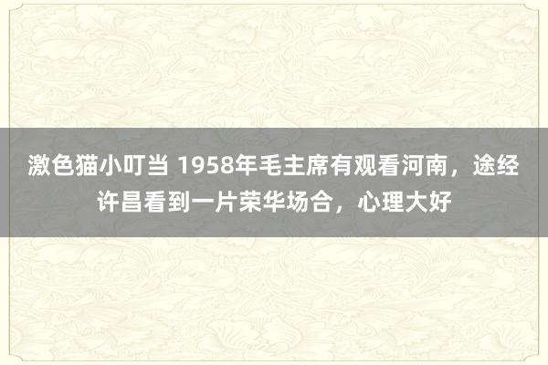 激色猫小叮当 1958年毛主席有观看河南，途经许昌看到一片荣华场合，心理大好