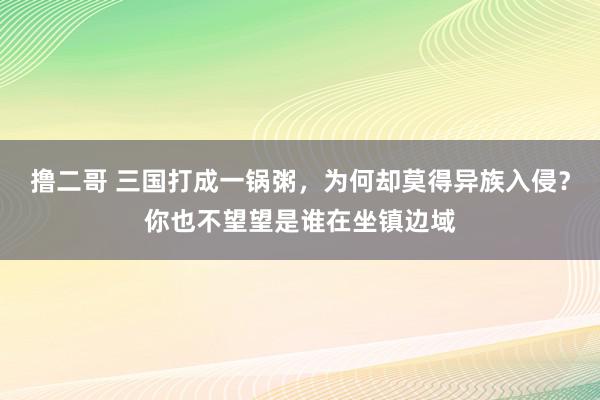 撸二哥 三国打成一锅粥，为何却莫得异族入侵？你也不望望是谁在坐镇边域