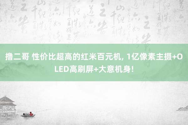 撸二哥 性价比超高的红米百元机, 1亿像素主摄+OLED高刷屏+大意机身!