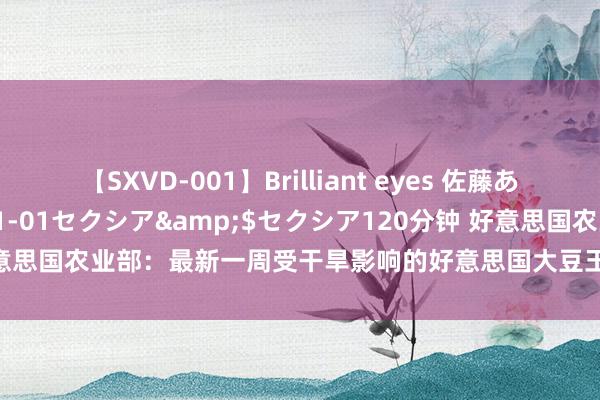 【SXVD-001】Brilliant eyes 佐藤あい</a>2006-11-01セクシア&$セクシア120分钟 好意思国农业部：最新一周受干旱影响的好意思国大豆玉米棉花栽培区域略有加多