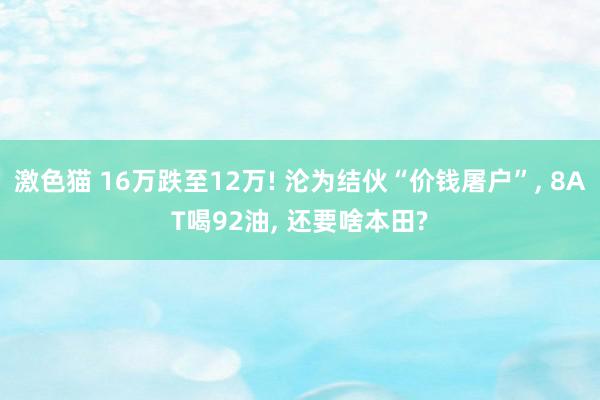 激色猫 16万跌至12万! 沦为结伙“价钱屠户”, 8AT喝92油, 还要啥本田?