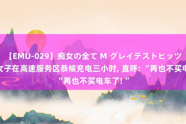 【EMU-029】痴女の全て M グレイテストヒッツ 4時間 女子在高速服务区恭候充电三小时, 直呼: “再也不买电车了! ”