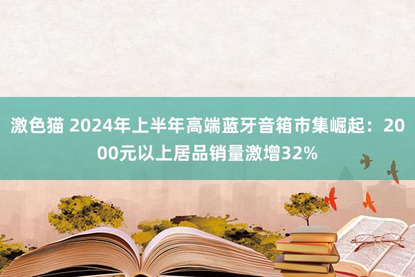 激色猫 2024年上半年高端蓝牙音箱市集崛起：2000元以上居品销量激增32%