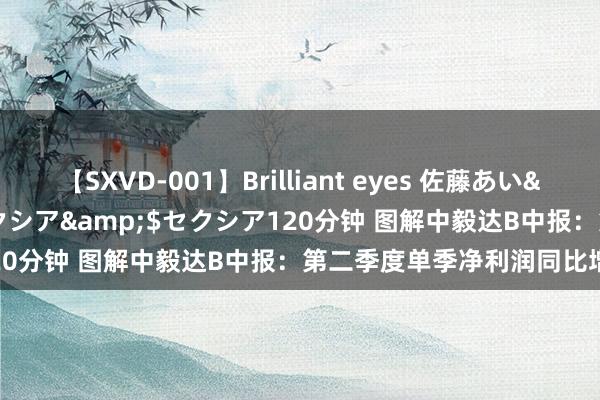 【SXVD-001】Brilliant eyes 佐藤あい</a>2006-11-01セクシア&$セクシア120分钟 图解中毅达B中报：第二季度单季净利润同比增72.80%